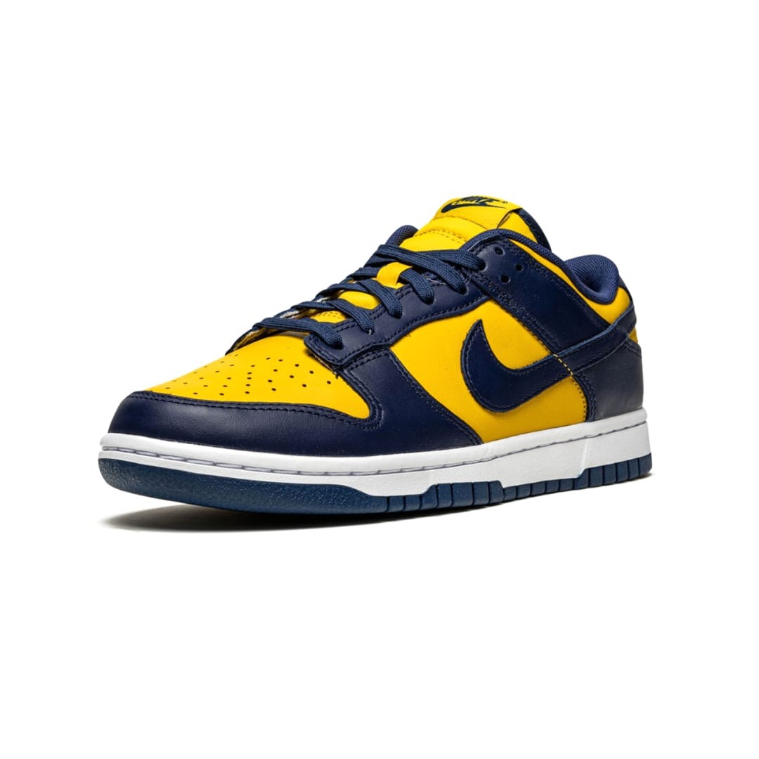 dunk michigan on feet